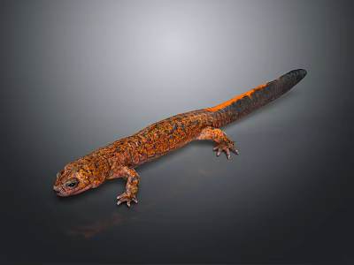 Orange and Black Spotted Lizard with Long Tail on Dark Background 3d model
