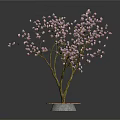 Ornamental Flowering Plant with Pink Blossoms in Circular Red Brick Base Pot