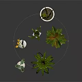Various Indoor Potted Plants With Green Leaves Yellow Flowers White Pots And Metal Stand
