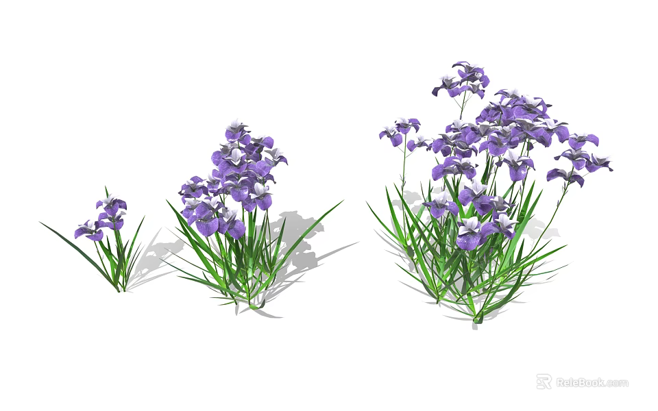 Clusters of Purple Flowers with Green Stems and Lush Green Leaves 3d model 