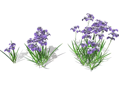 Clusters of Purple Flowers with Green Stems and Lush Green Leaves 3d model