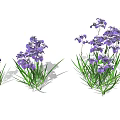 Clusters of Purple Flowers with Green Stems and Lush Green Leaves