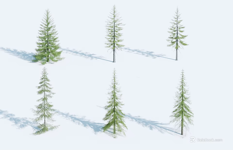 Various Tree Varieties With Different Heights And Green Foliage 3d model