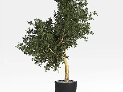 Decorative Bonsai Tree with Yellow Trunk and Green Leaves in Black Pot 3d model