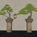 Elegant Pine Bonsai Trees in Copper Planters on Stone Pedestals with Hanging Lantern