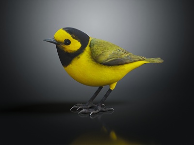 Modern bird yellow bird model