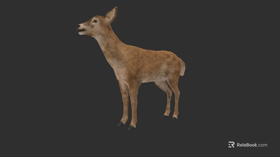 Standing Brown Deer With Natural Fur And Lifelike Wildlife Features 3d model 