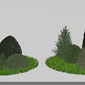 Lush Garden Shrubs With Green Grass And Varied Shapes In Landscape Design