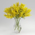 Fresh Yellow Flowers Bouquet in Transparent Glass Vase With Water