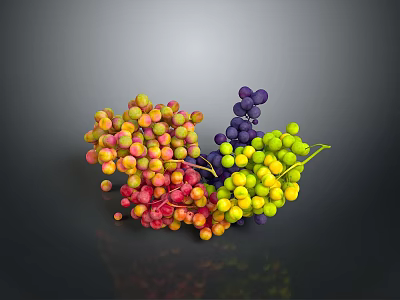 Colorful Grapes Bunch with Red Yellow Green and Purple Fruits on Dark Background 3d model