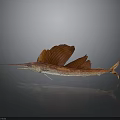 Red Sailfish With Long Bill And Large Fins On Gray Background Reflection