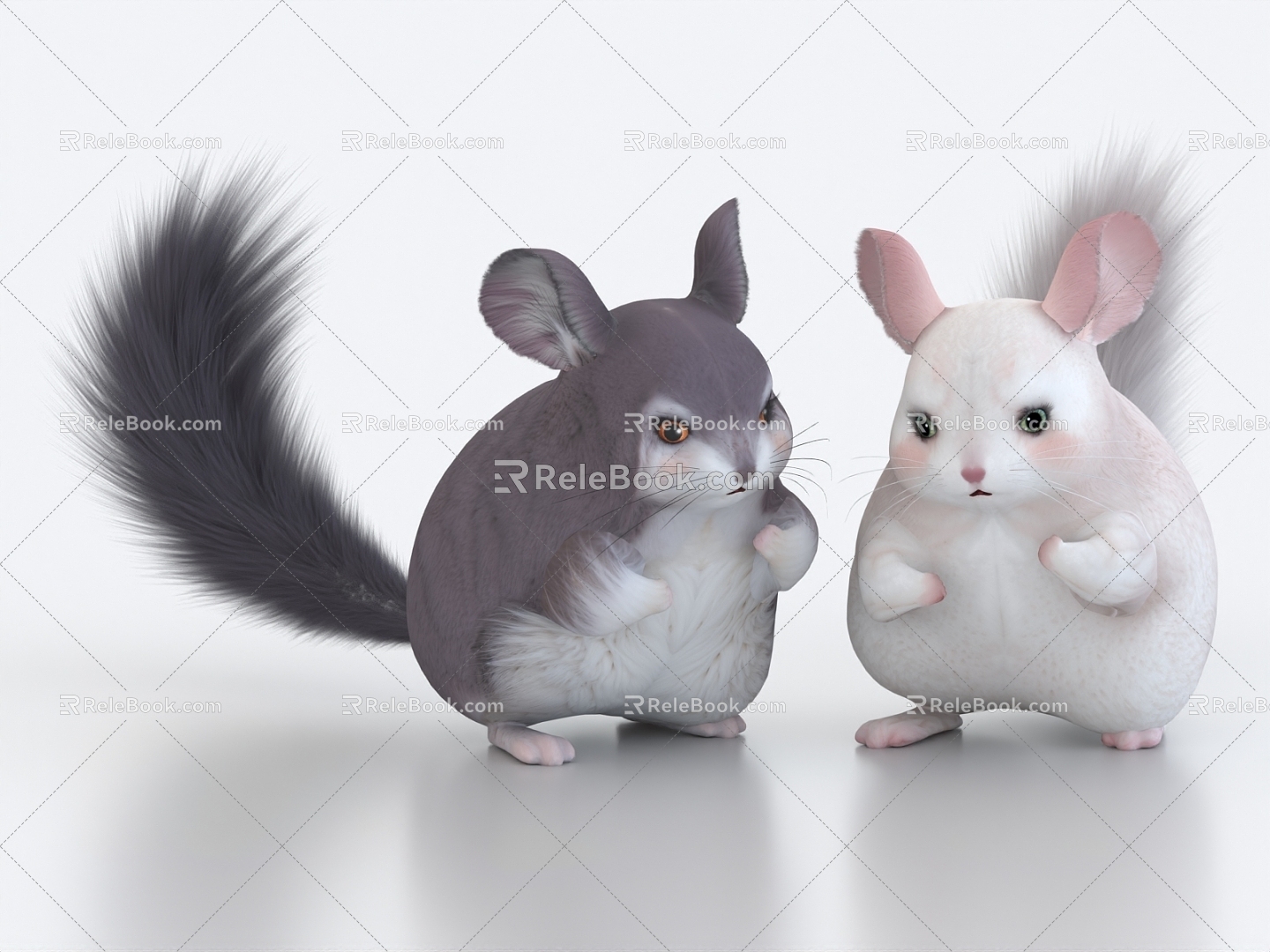 chinchilla hairy rat chinchilla squirrel animal small mouse bamboo mouse 3d model