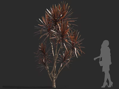 Red Brown Leaf Arbor With Slender Branches And Human Silhouette For Scale 3d model