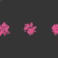 Multiple Potted Flowering Plants With Green Leaves And Pink Blooms Display Arrangement