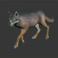 Realistic 3D Rendered Wolf with Gray Brown Fur Walking on Dark Background and Reflection 3d model