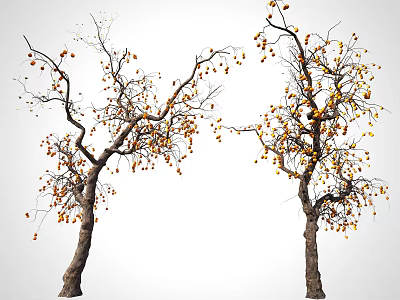 Autumn Arbor With Brown Trunk Orange Yellow Fruits And Sparse Branches 3d model