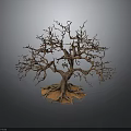 Isolated Leafless Tree With Thin Trunk And Exposed Roots On Dark Background