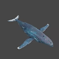 Realistic Blue White Whale with Textured Skin in Gradient Background