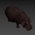 Realistic 3D Hippopotamus Figure With Detailed Skin Texture And Natural Standing Pose