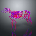 Red Purple 3D Horse Skeleton Vascular Structure Detailed Digital Visualization Model 3d model