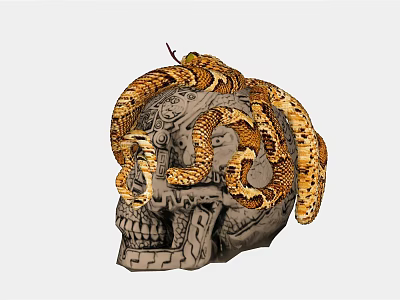 Reptile Snake Coiled Around Detailed Artistic Carved Skull Decoration Piece 3d model