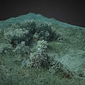 Underwater Marine Environment With Coral Reef And Seagrass Bed On Ocean Floor