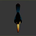 Colorful Toucan With Vibrant Yellow Orange Beak And Blue Feathers On Gray Background