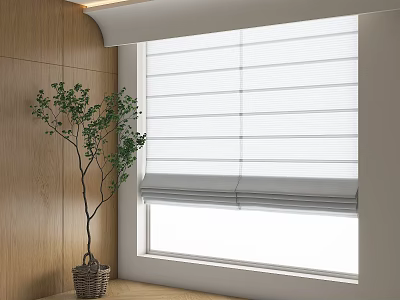 Stylish Bonsai Potted Plant In Room With Wooden Wall And Window Roller Blinds 3d model