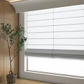 Stylish Bonsai Potted Plant In Room With Wooden Wall And Window Roller Blinds