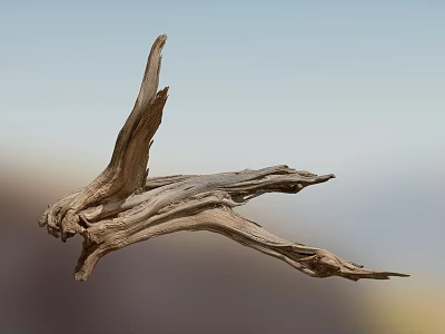 Dry Tree Branch with Weathered Texture Against Blurred Sky and Distant Mountains 3d model