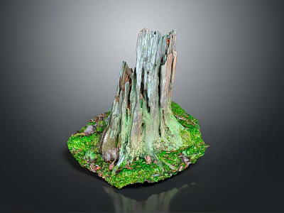 Natural Tree Stump Decorative Piece With Textured Surface Green Moss And Small Stones 3d model