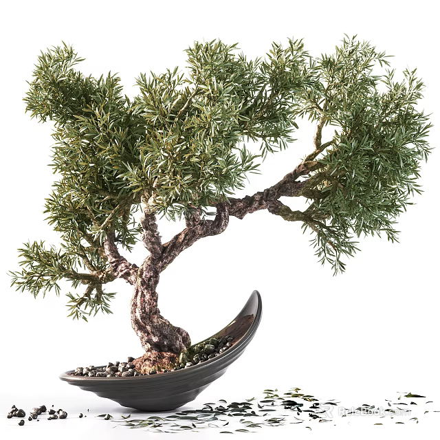Artistic Bonsai Tree with Curved Trunk and Green Foliage in Black Bowl Shaped Pot 3d model 