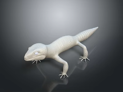 White Reptile Lizard 3D Model On Dark Background With Glossy Reflective Surface 3d model White Reptile Lizard 3D Model On Dark Background With Glossy Reflective Surface 3d model
