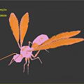 Orange Insect With Large Wings On Dark Reflective Background Surface