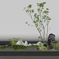 Indoor Zen Landscape With Small Tree Rocks Moss And Sand Arrangement