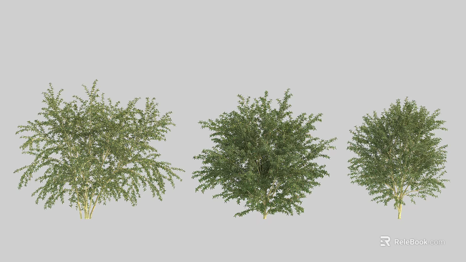 Various Green Leafy Bushes With Different Shapes For Garden Landscaping 3d model 