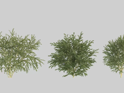 Various Green Leafy Bushes With Different Shapes For Garden Landscaping 3d model