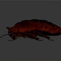 Shiny Red and Black Cockroach 3D Rendering with Detailed Exoskeleton on Dark Background 3d model