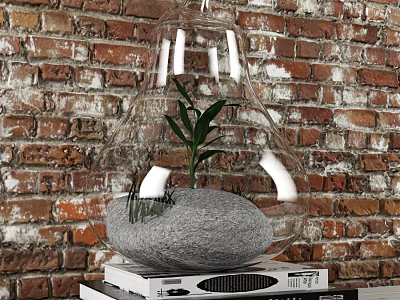 Books Stack With Transparent Glass Cloche Green Plant Gray Stone Against Brick Wall 3d model