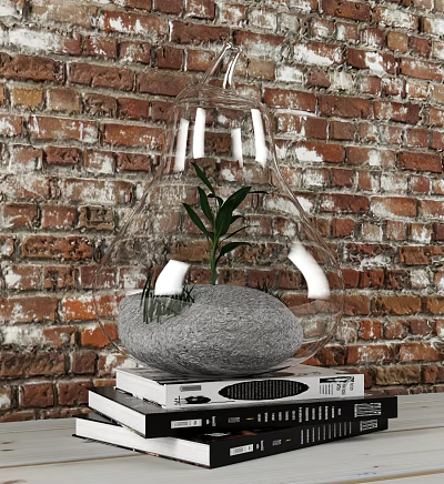Books Stack With Transparent Glass Cloche Green Plant Gray Stone Against Brick Wall 3d model