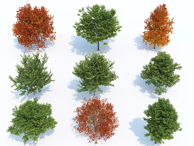 Various Arbor Trees Featuring Green Red and Orange Foliage in Different Shapes 3d model