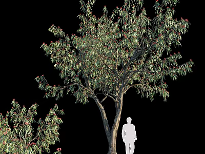 Tree Pit With Green Leafy Tree And Red Flowers In Urban Landscape Design 3d model