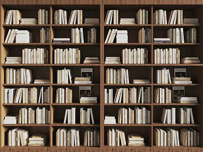 Organized Wooden Bookshelf With Multiple Shelves Filled With Neatly Arranged Books And Magazines 3d model