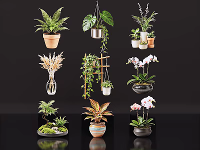 Assorted Flowering Plants In Ceramic Glass Metal Vases And Hanging Desktop Displays 3d model