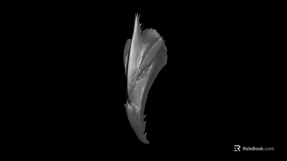 Black And White Feather Like Object With Fine Texture Edges On Isolated Black Background 3d model