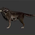 3D Rendered Wolf Standing Pose With Unique Fur Pattern Red Black Accents On Dark Background