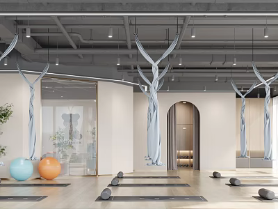 Modern Aerial Yoga Studio With Hammocks Yoga Mats Exercise Balls 3d model
