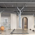 Modern Aerial Yoga Studio With Hammocks Yoga Mats Exercise Balls
