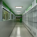 Green Themed Pharmacy Corridor Featuring Glass Medicine Cabinets And Windows With Trees Outside