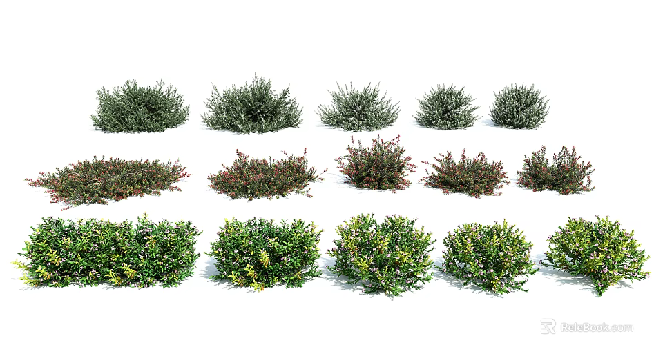 Different Varieties of Garden Shrubs with Various Foliage Shapes and Colors for Landscaping 3d model 
